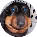 G. Hill profile picture